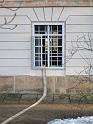 2011-01-17, Pillnitz (14)